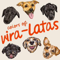 Camisa Colors of Vira-latas